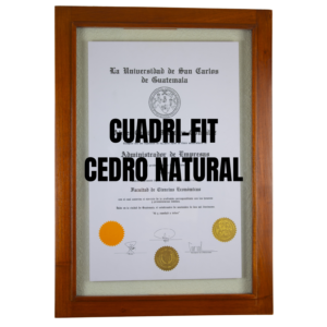 Diseño CUADRI-FIT