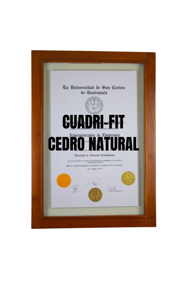 Diseño CUADRI-FIT